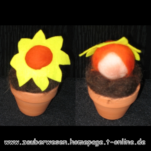 S002-Blumentoepfchen.jpg