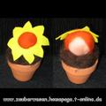 S002-Blumentoepfchen.jpg